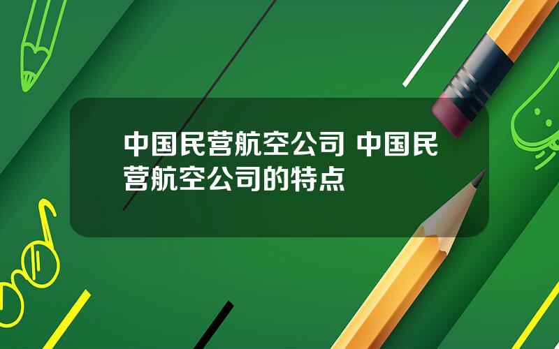 中国民营航空公司 中国民营航空公司的特点